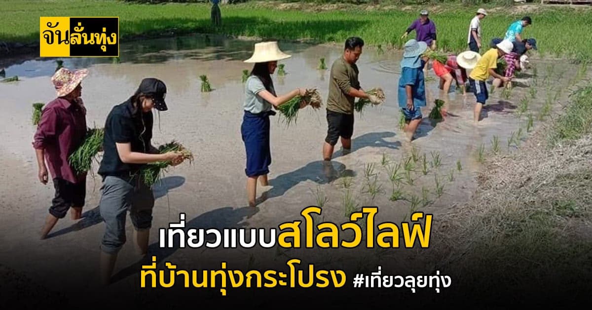 ไป เที่ยวลุยทุ่ง ดูวิถีชุมชนที่ บ้านทุ่งกระโปรง