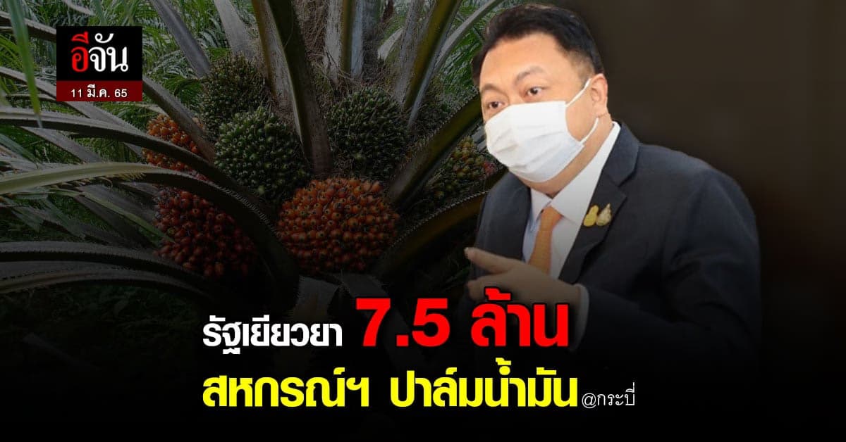 ลูกจ้างชุมนุมสหกรณ์ฯ สวนปาล์มน้ำมันกระบี่ เฮ! รัฐ เยียวยา 7.5 ล้านบาท