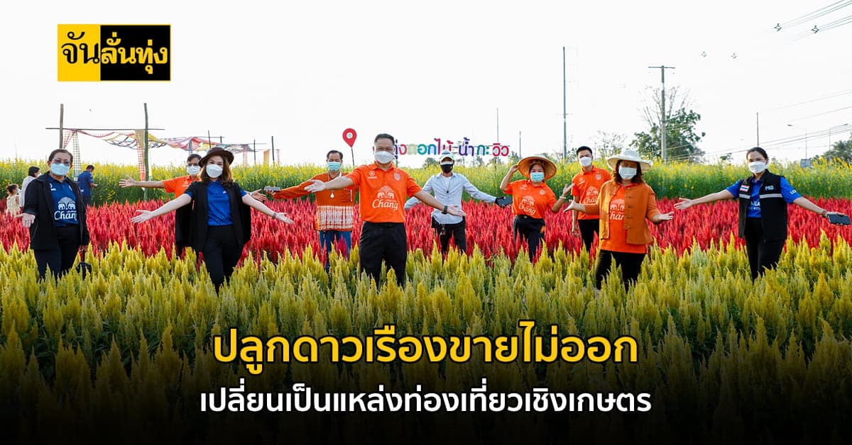 สาววัย39 ปลูกดาวเรืองเจอพิษโควิด เปลี่ยนเป็นแหล่งท่องเที่ยวเชิงเกษตร