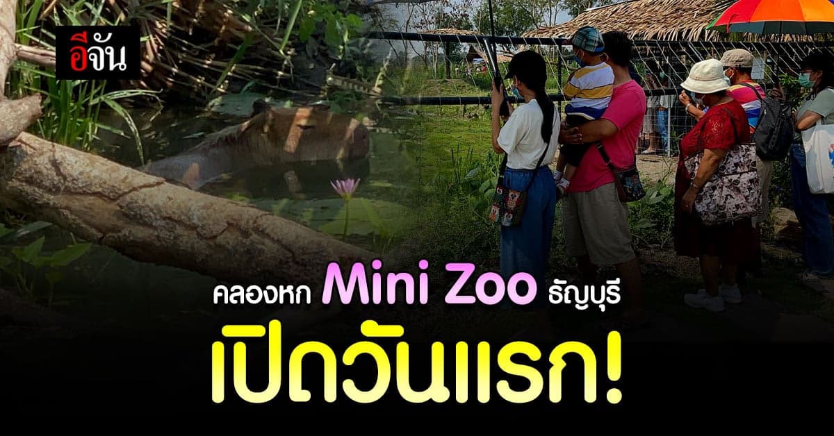 คลองหก Mini Zoo ธัญบุรี เปิดแรก ให้เข้าชมฟรี
