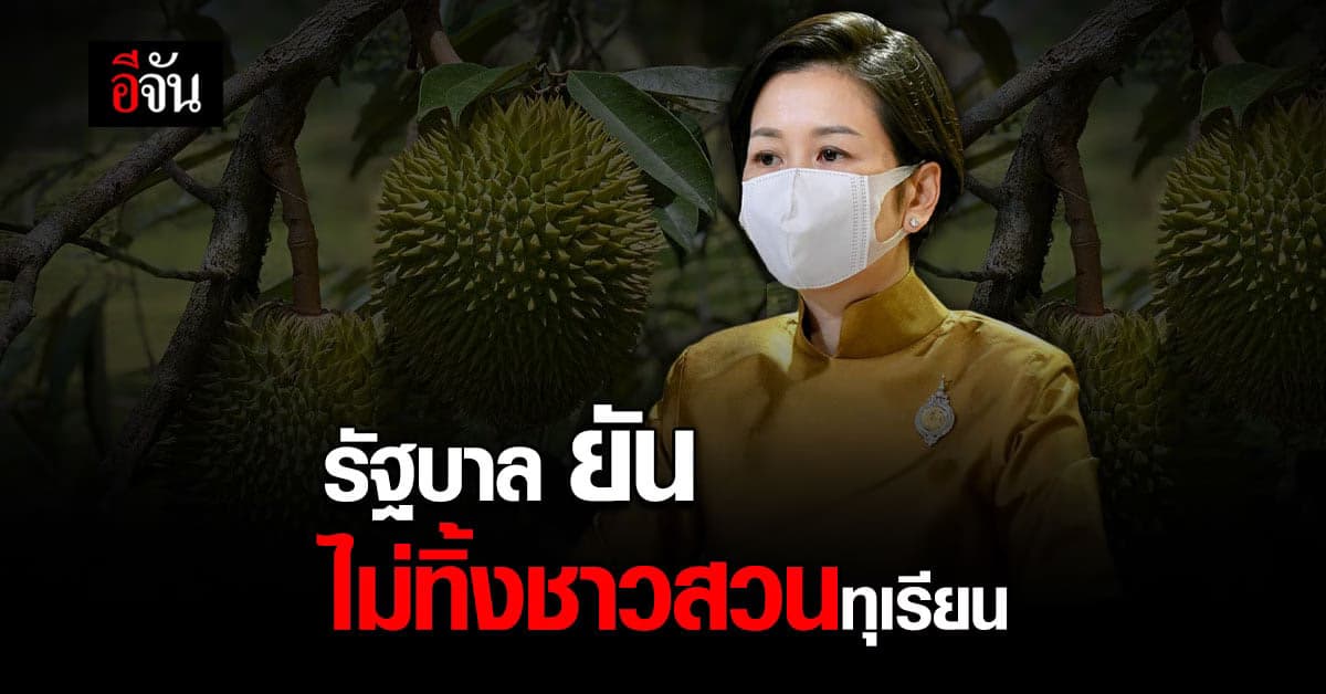 รัฐบาล ยัน ไม่ทอดทิ้ง ชาวสวนทุเรียน พร้อม ขยายตลาด สู่ ตะวันออกกลาง