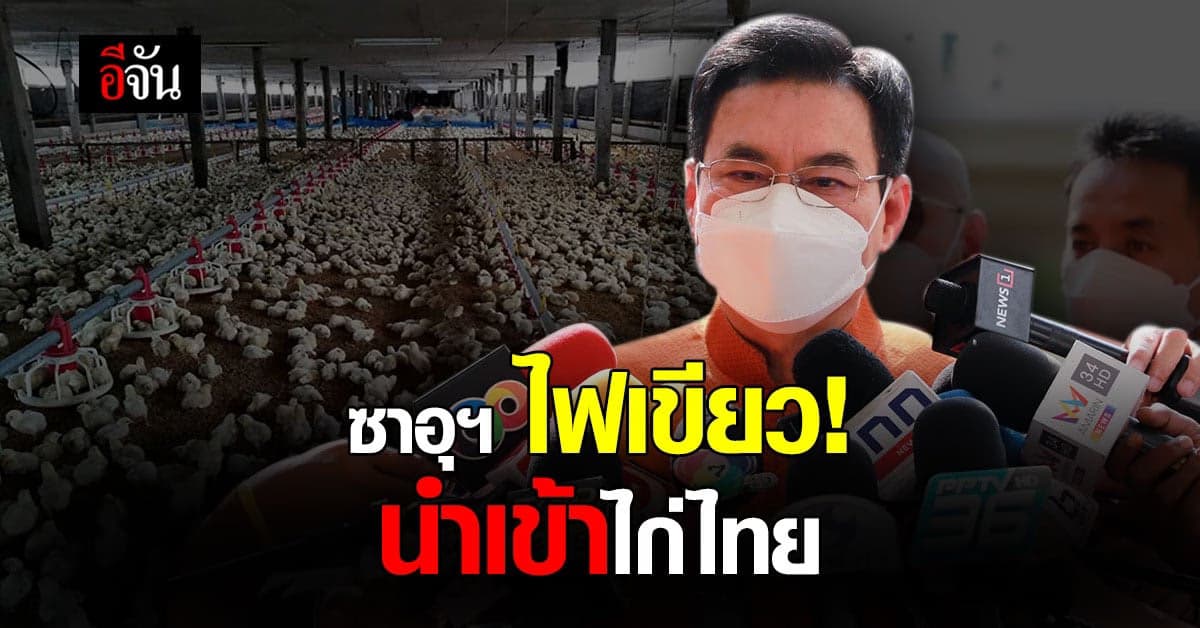 ซาอุดิอาระเบีย ไฟเขียว! นำเข้าสินค้า ไก่ จากไทยแล้ว