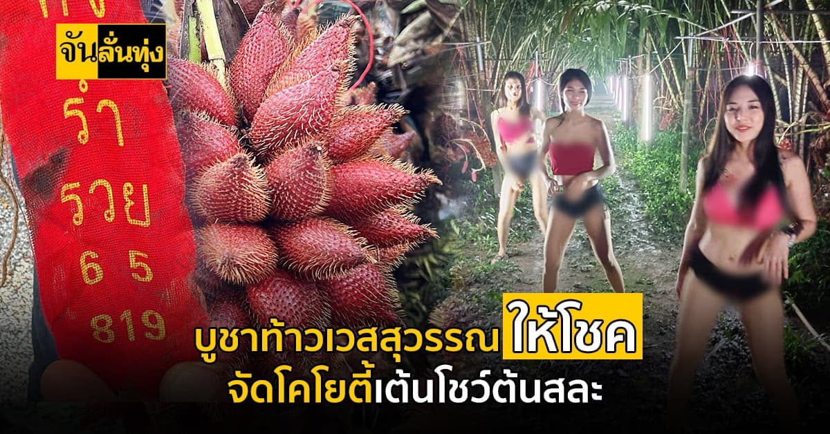 จ้างโคโยตี้เต้นให้ต้นสละดู หลังบูชาท้าวเวสสุวรรณ รายได้เดือนละ 5 แสน