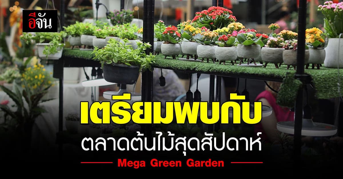 เมกา กรีน การ์เด้น ยกทัพขบวน ต้นไม้ นานาพันธุ์ พร้อมมาขยี้ใจ สายเขียว