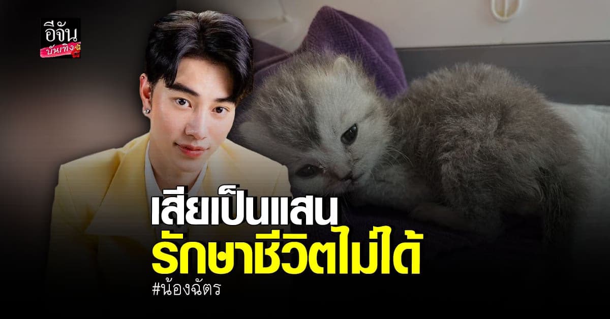 น้องฉัตร ช็อกหลังเห็นค่า ทำคลอดแมวเกือบแสน !