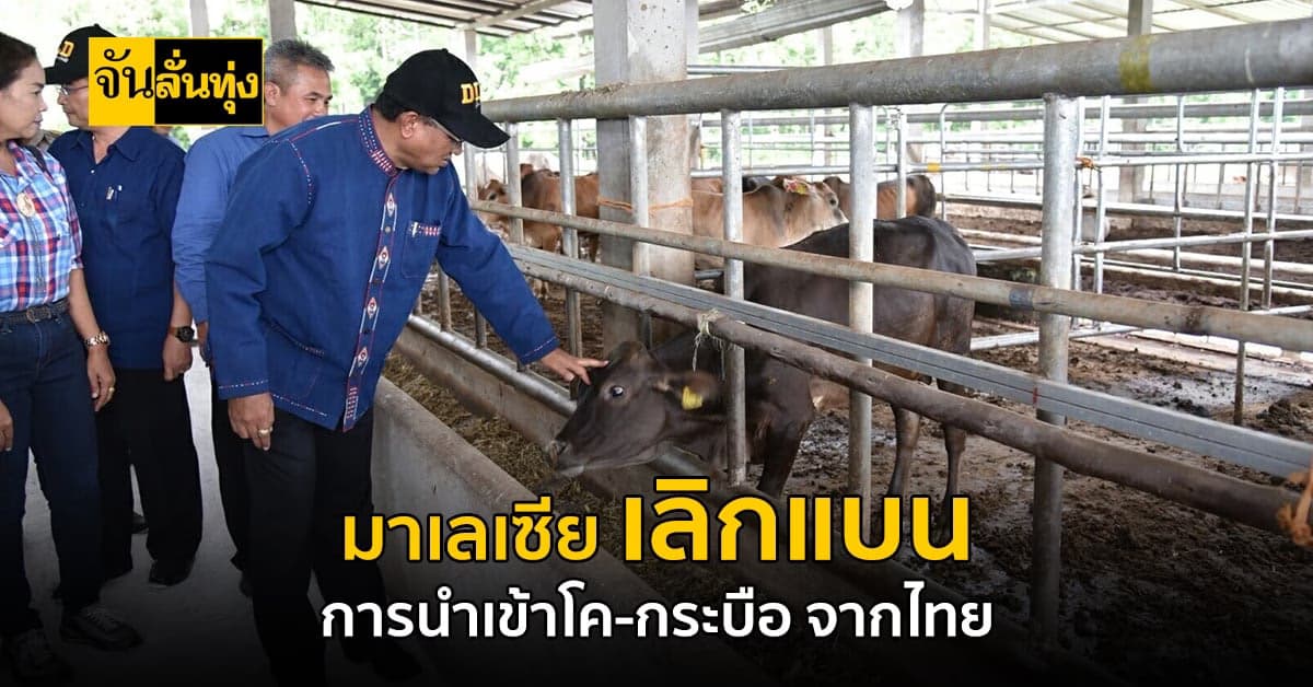 มาเลเซีย เชื่อมั่น ยกเลิกแบน การนำเข้า โค-กระบือ จากไทย