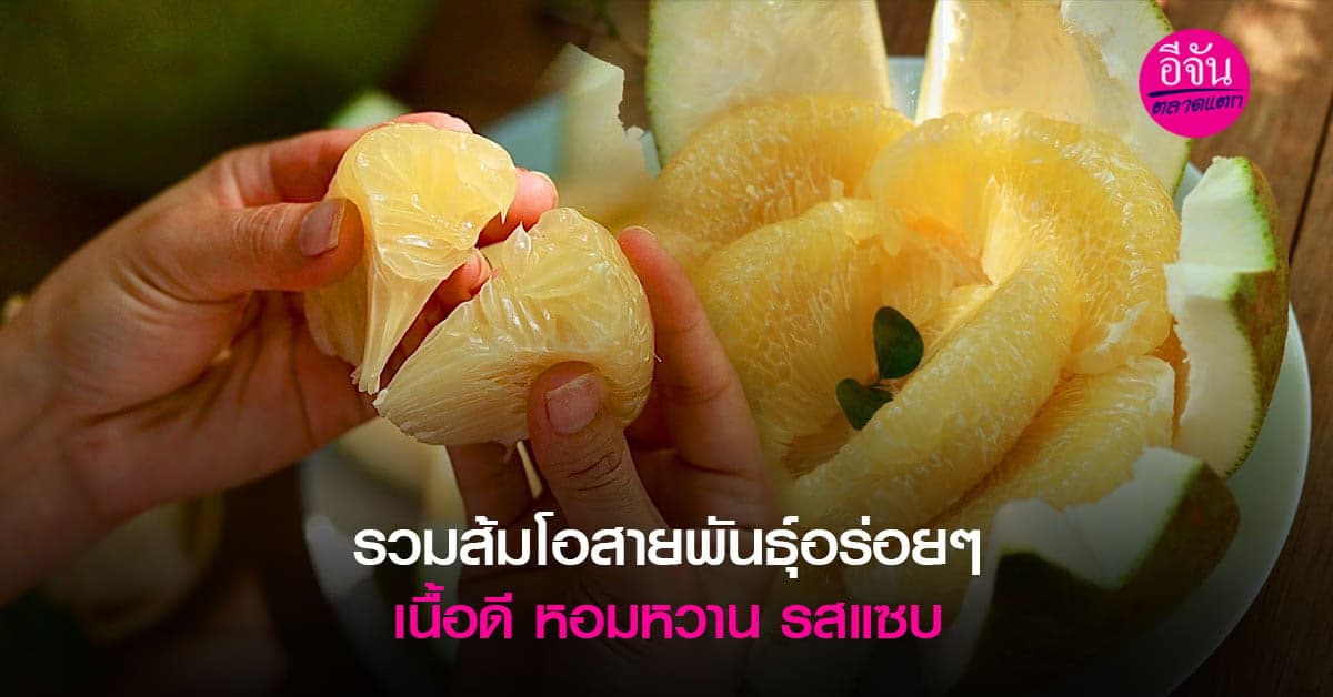 ทำความรู้จัก ส้มโอสายพันธุ์ไทย รสชาติอร่อย เนื้อดี รสแซบ