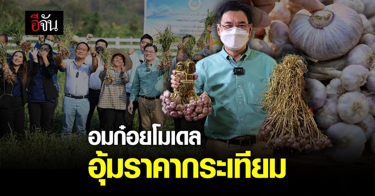จุรินทร์ ลุย อมก๋อยโมเดล ดึงเอกชนซื้อ กระเทียม ดึงราคาพุ่ง 15 บาท/กก.