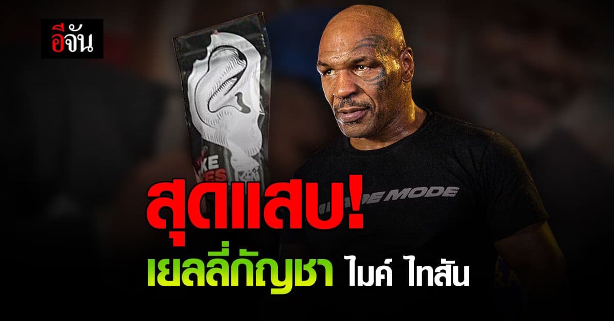 ตัวแสบมาเอง ไมค์ ไทสัน ผุดไอเดียทำ เยลลี่กัญชา รูปหูแหว่ง