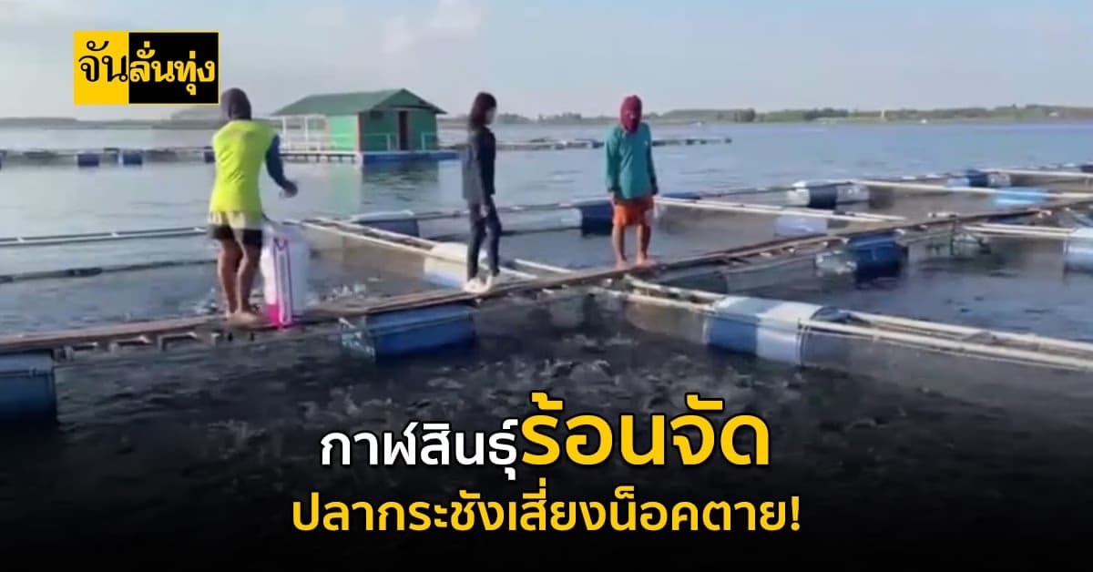 กาฬสินธุ์ ร้อนปะทะฝน เตือน ปลากระชัง เงินล้านเสี่ยงน็อคตาย!