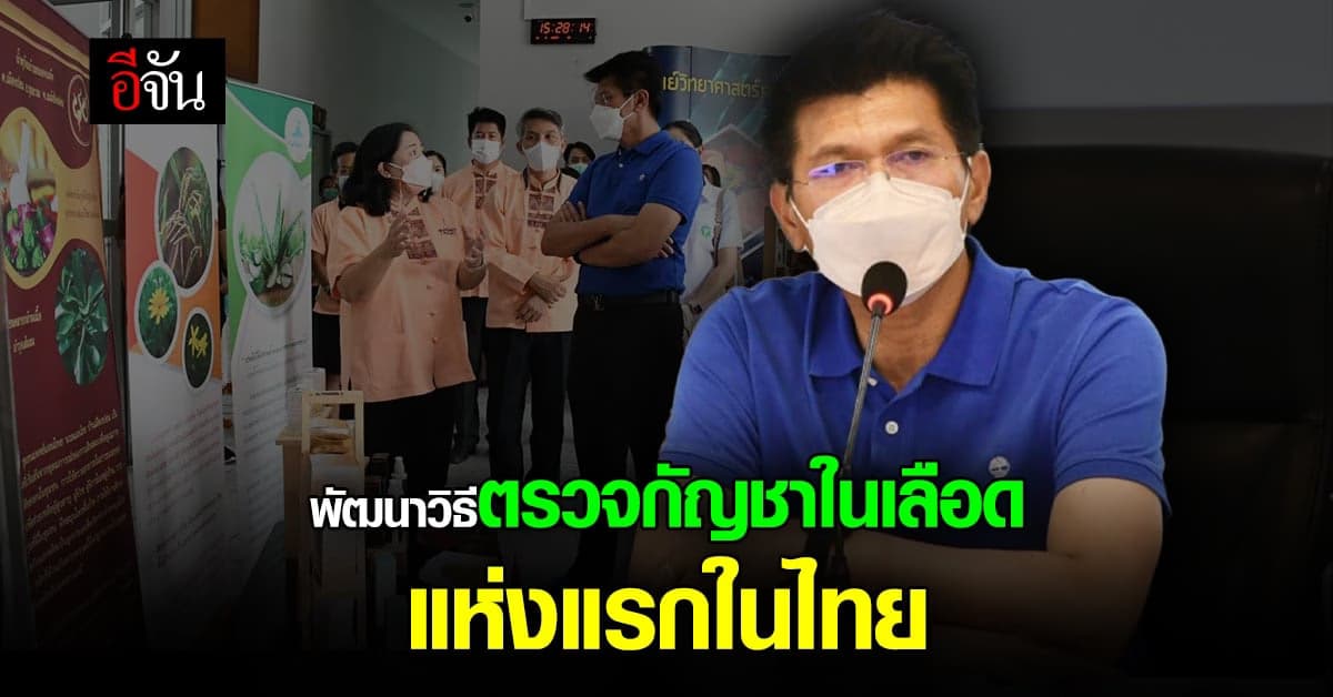 ศูนย์วิทย์ฯ เชียงใหม่ พัฒนาวิธีตรวจ กัญชาในเลือด แห่งแรกในไทย