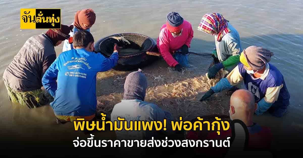 กาฬสินธุ์ พ่อค้ากุ้งโอด! น้ำมันแพง จ่อขึ้นราคาขายส่งช่วงสงกรานต์