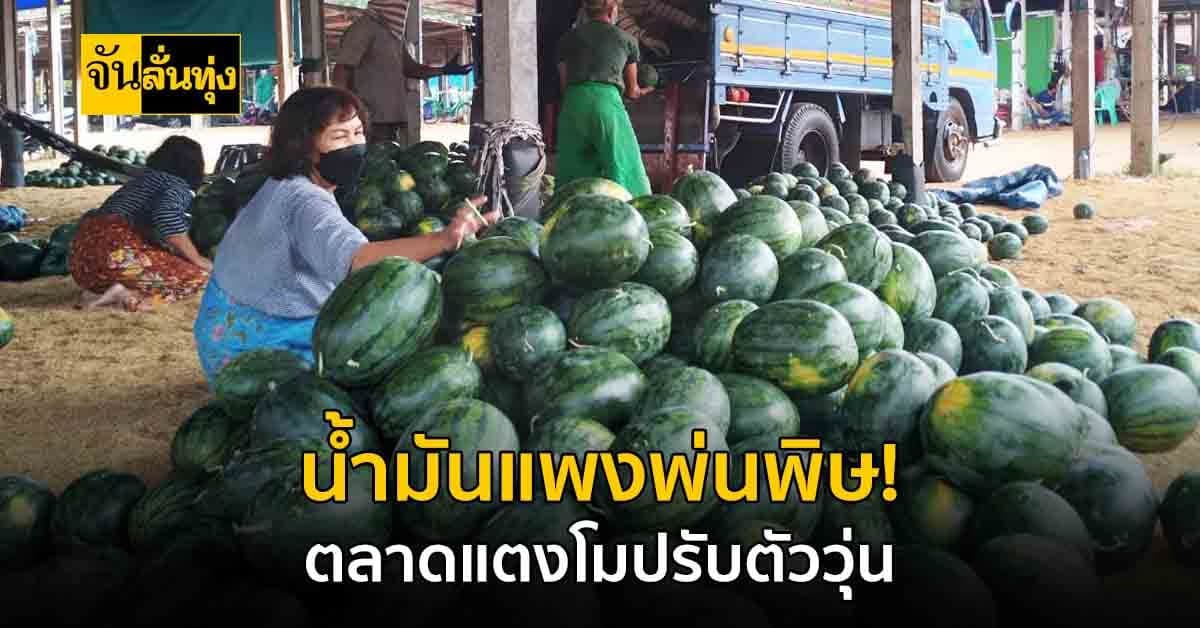 กาฬสินธุ์ น้ำมันแพงกระทบตลาดแตงโมพ่อค้าปรับตัววุ่น