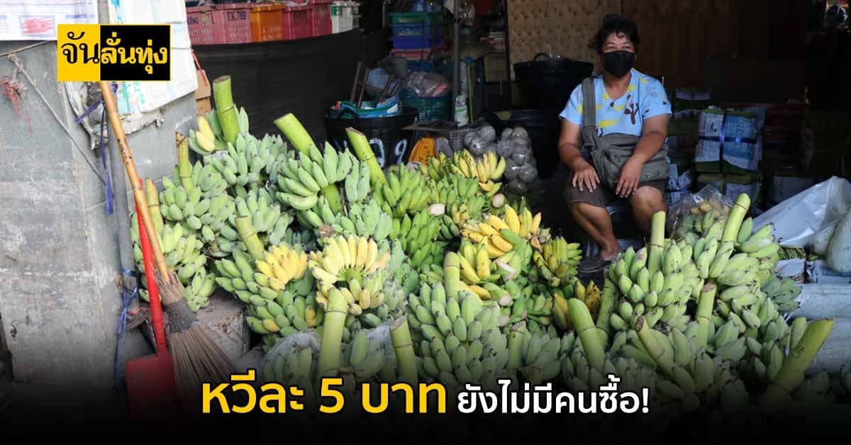 อ่างทอง แม่ค้าครวญ! กล้วยน้ำหว้าหวีละ 5 บาท แทบไม่มีคนซื้อ