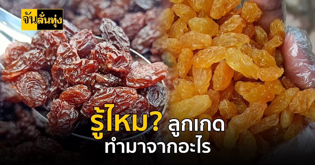 ลูกเกด ทำมาจากอะไรกันแน่ วันนี้จันหาคำตอบมาให้