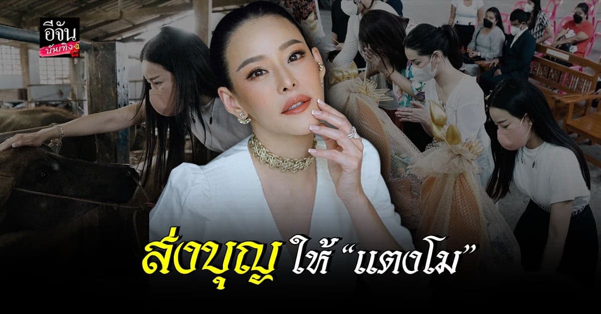 หนิง ปณิตา- โม อมีนา ปล่อยโคกระบือ 40 ตัว ส่งผลบุญให้ แตงโม