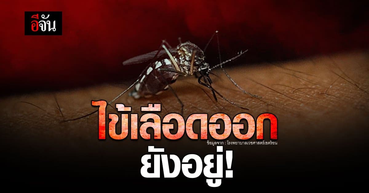 ไข้เลือดออก อันตรายไม่แพ้โควิด ป่วย 50,000 ตาย 60 ใน 3 ปี