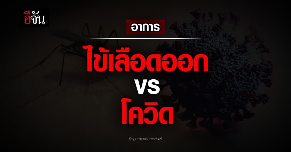 เช็กให้ดี! อาการเหล่านี้ เป็นโควิด หรือไข้เลือดออก