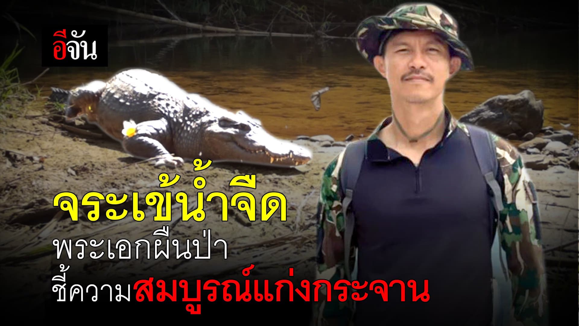 🎬 จระเข้น้ำจืด พระเอกผืนป่า ชี้ความสมบูรณ์ ป่าเเก่งกระจาน