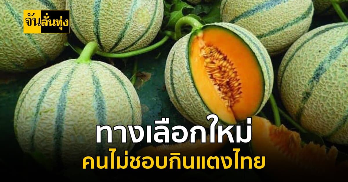 แตงไทย กินยาก ตอนนี้ไม่จริงแล้วนะ เพราะแตงไทยพันธุ์ใหม่ รสหวาน กินง่าย
