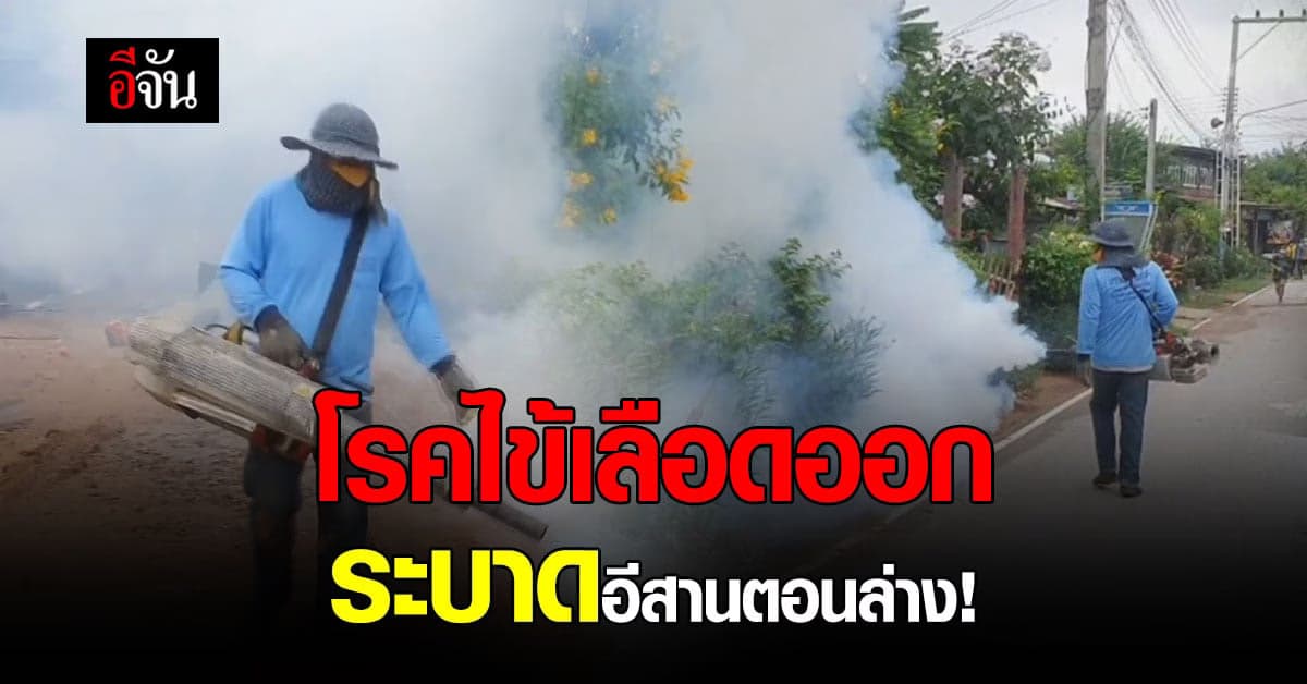 สำนักงานป้องกันควบคุมโรค เผย โรคไข้เลือดออก แพร่ระบาด อีสานตอนล่าง