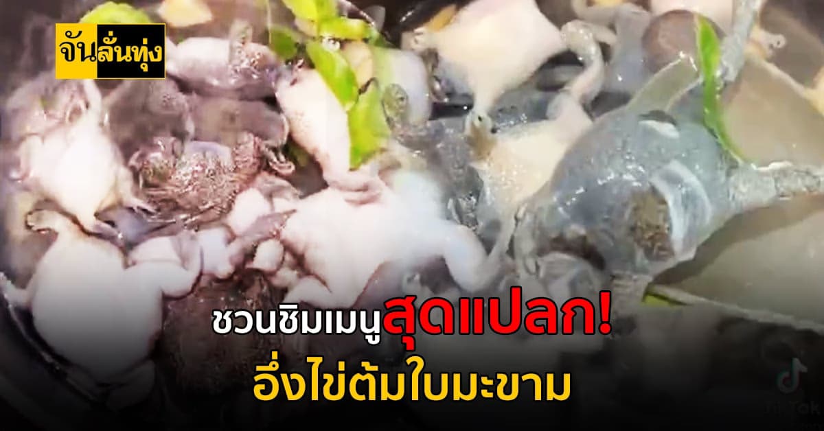 เมนูสุดแปลกจากอีสาน จานเด็ดลั่นทุ่ง วันนี้ขอเสนอ อึ่งไข่ต้มใบมะขาม