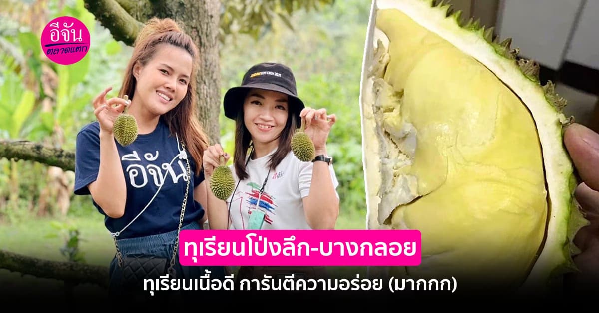 ทำความรู้จัก ทุเรียนโป่งลึก-บางกลอย