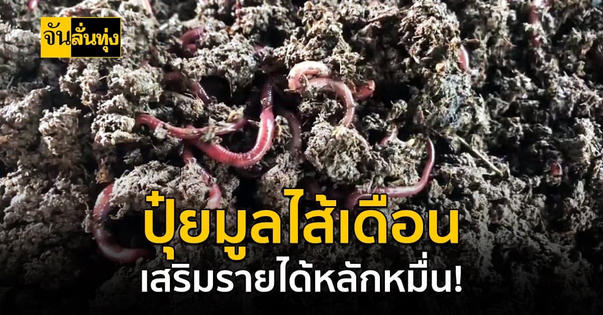 เกษตรกรดอกคำใต้ ทำปุ๋ยจากมูลไส้เดือน ออกขายสร้างเงินหลักหมื่น!