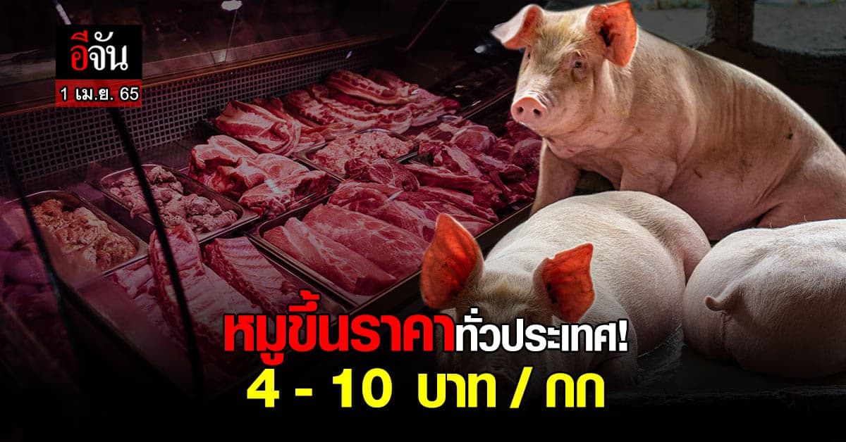 สมาคมผู้เลี้ยงสุกรแห่งชาติ แจ้งหมูขึ้นราคาทั่วประเทศ!