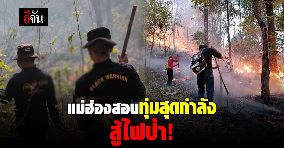 ภาพรวม ไฟป่าแม่ฮ่องสอน รายงานจุดความร้อนสะสม 3,812 จุด