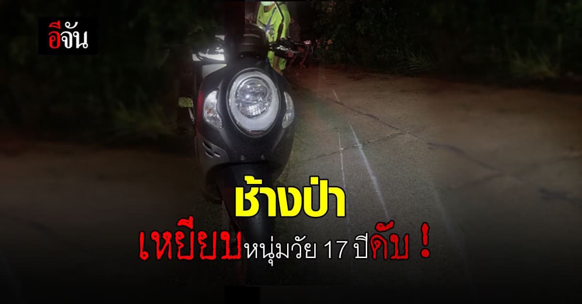 หนุ่มวัย 17 ปี เคราะห์ร้าย ถูกช้างป่า ไล่เหยียบดับคาที่