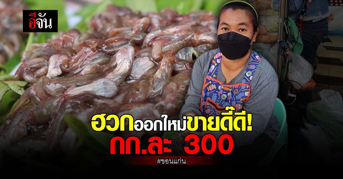 ขอนแก่นอากาศแปรปรวน ฝนตกใหม่ชาวบ้านออกหาฮวกขาย