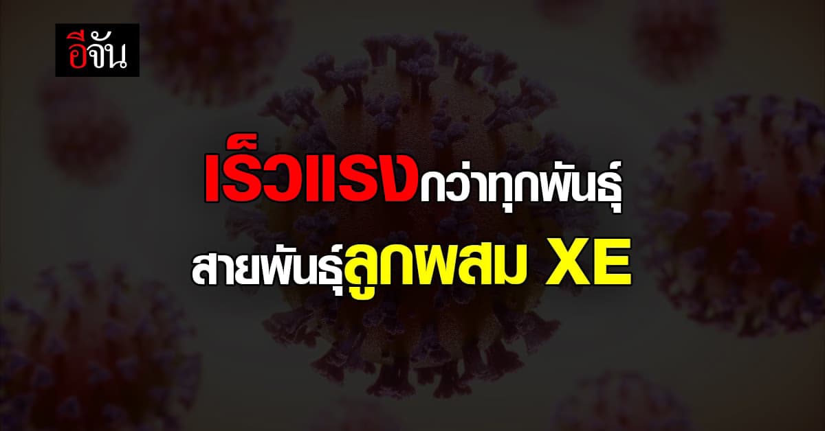 WHO เตือน โอมิครอน สายพันธุ์ลูกผสม XE แพร่เร็วกว่าทุกสายพันธุ์