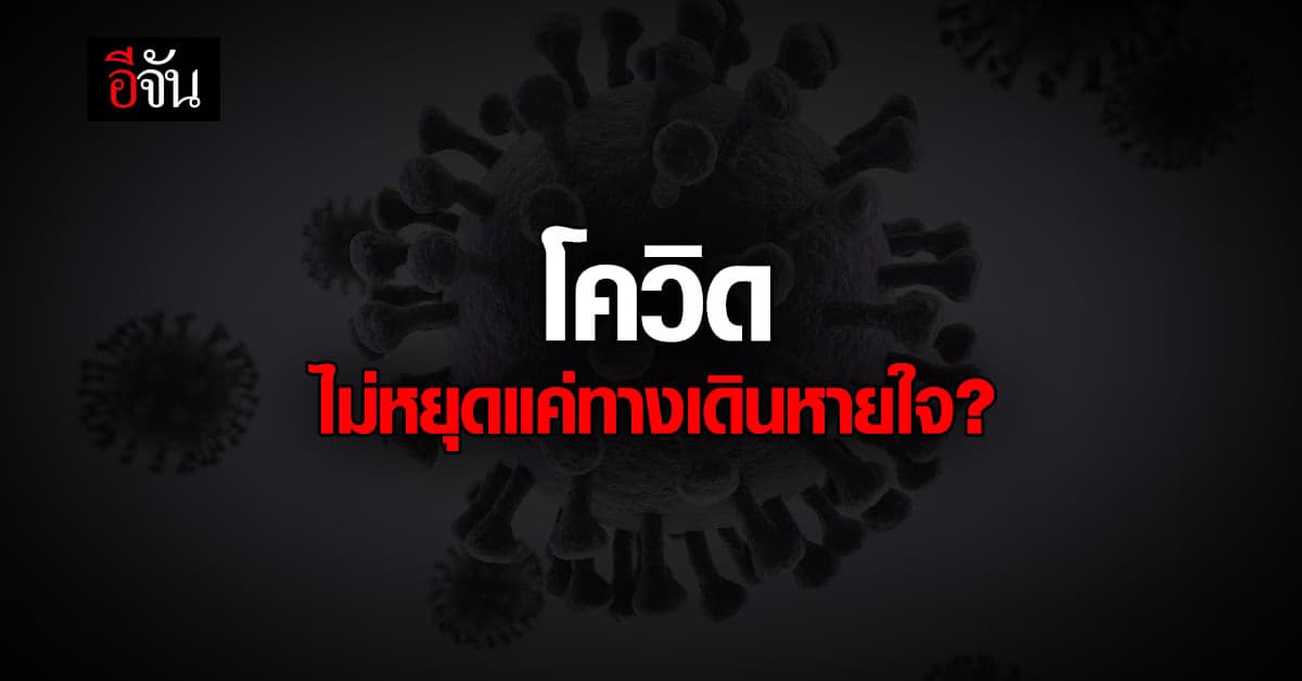 หมอธีระ เผยผลวิจัย โควิด ไม่หยุดแค่ทางเดินหายใจ แต่กระจายทั่วร่างกาย