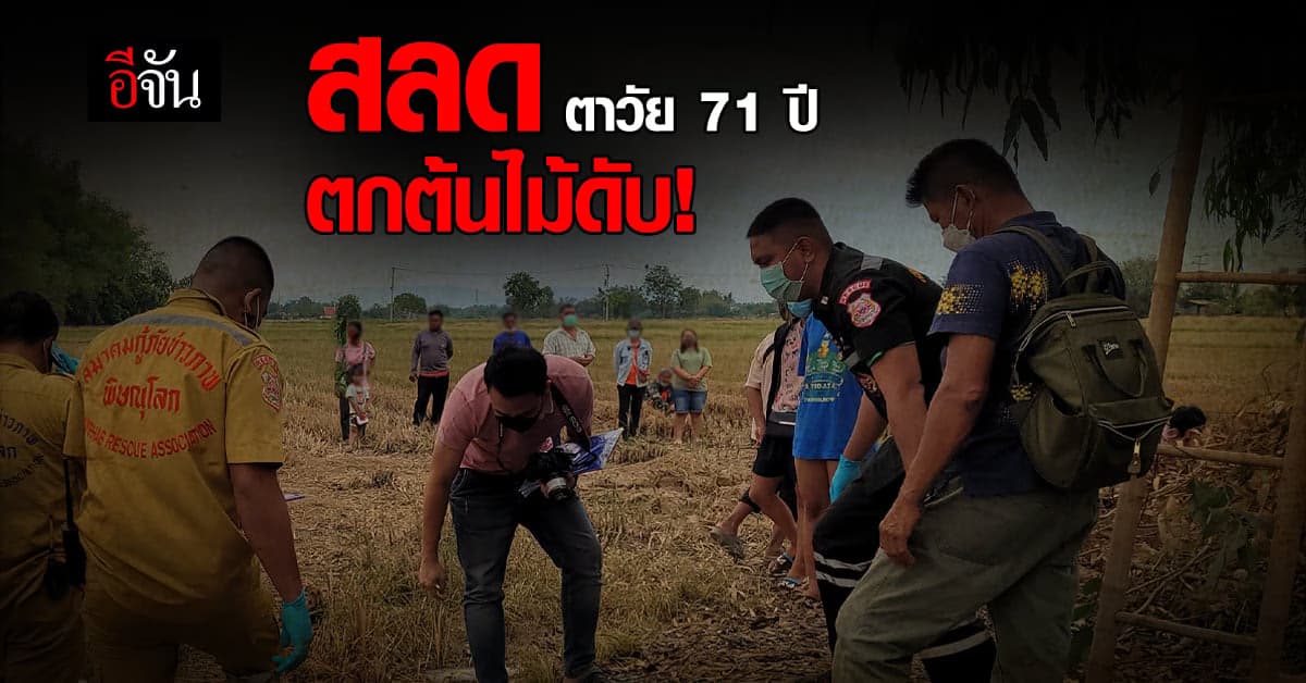 ตาวัย 71 ปี ปีนตัดกิ่ง ต้นยูคาลิปตัส ทำฟืน พลาดตกบันไดหัวกระแทกพื้นดับ