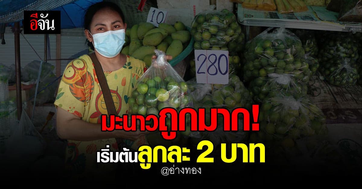 ราคามะนาว ที่ อ่างทอง เริ่มต้น ลูกละ 2 บาท มีจำหน่ายทั้งปลีก – ส่ง