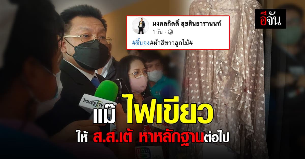 แม่ภนิดา ไฟเขียว! ให้ส.ส.เต้ คุ้ยหาหลักฐานคดีแตงโมได้