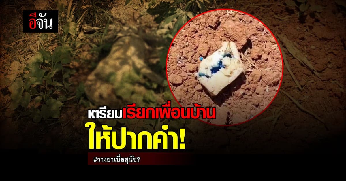 ตำรวจเตรียมเรียกเพื่อนบ้านให้ปากคำ หลังถูกแจ้งความวางยาเบื่อสุนัข