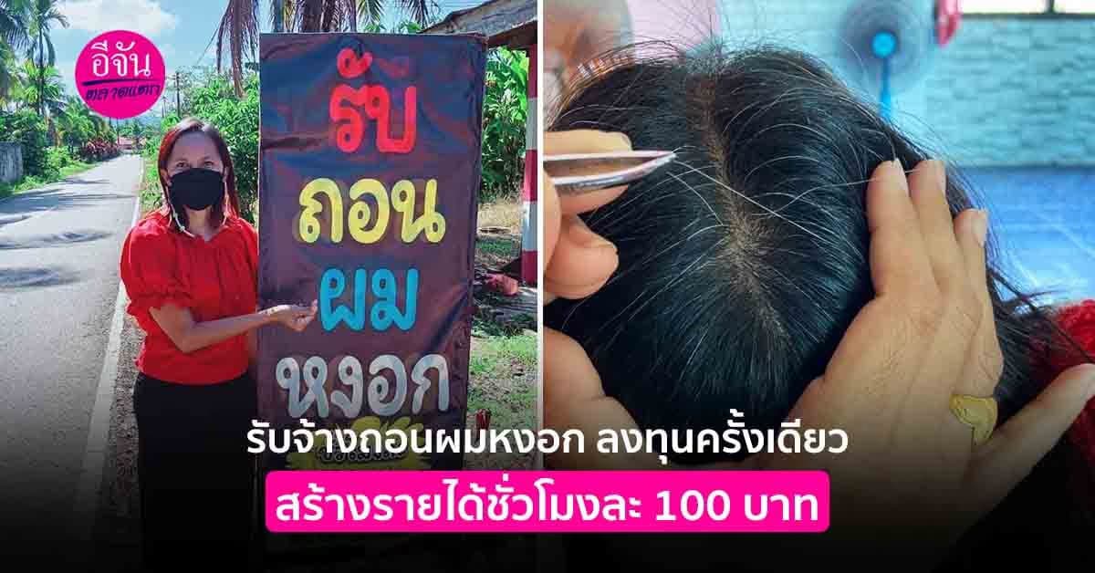 อาชีพพารวยมาแรง รับจ้างถอนผมหงอก สร้างรายได้ไม่น่าเชื่อ!