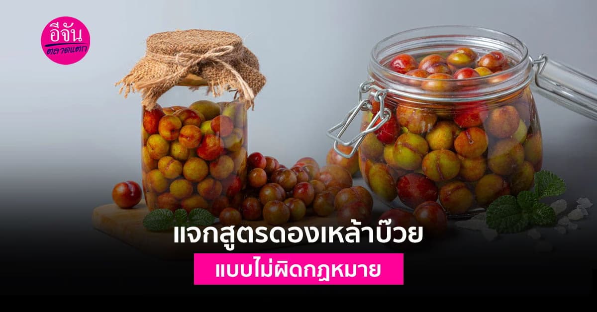 แจกสูตร แจงขั้นตอน วิธีการดองเหล้าบ๊วย แบบไม่ผิดกฏหมาย