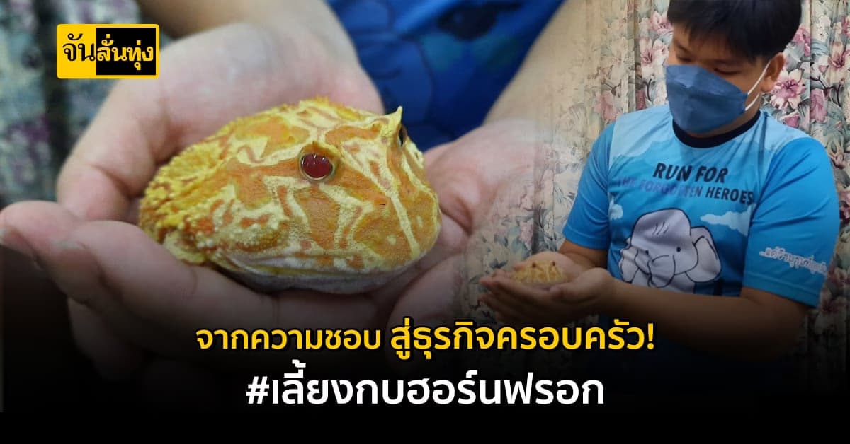 หนุ่มระยองวัย22ปี เพาะพันธุ์กบฮอร์นฟรอก ออกขายสร้างรายได้!