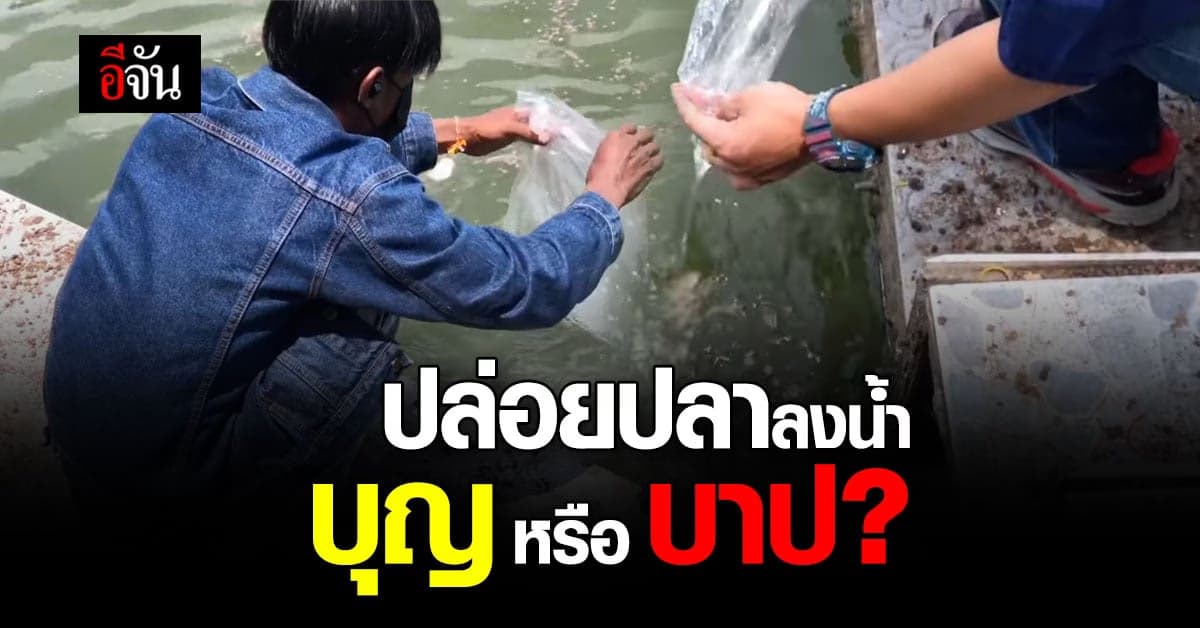 วัดฉลอง ภูเก็ต เตือนประชาชนอย่าปล่อยปลาเล็กลงน้ำหลังวัด