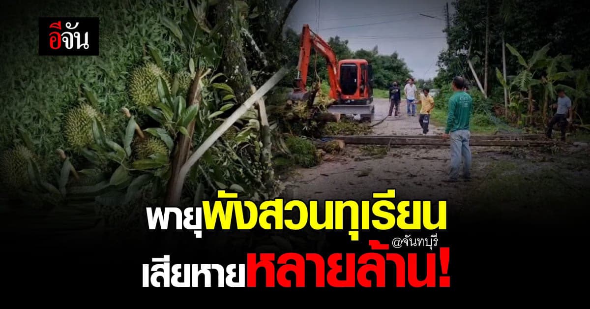 สวนทุเรียน – จันทบุรี เสียหายหนัก หลัง พายุฤดูร้อน กระหน่ำฝนลงมา!