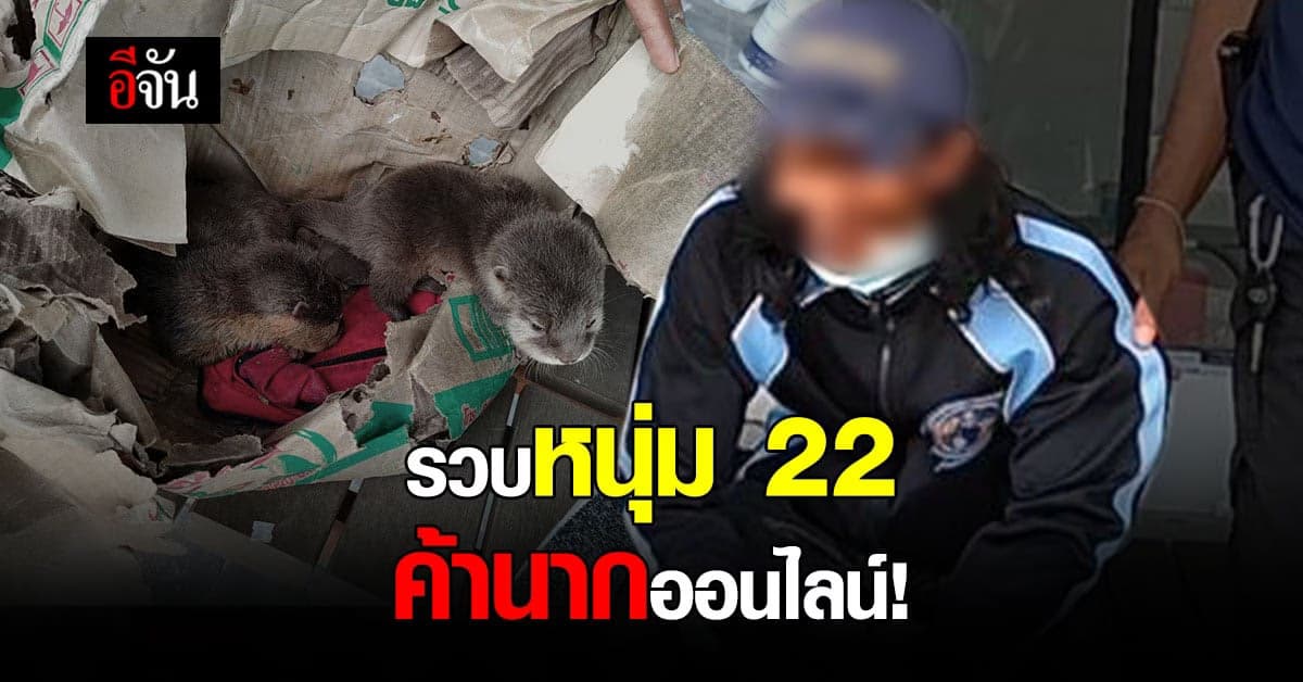 ตำรวจสอบสวนกลาง รวบหนุ่มลักลอบค้า นาก – สัตว์ป่าคุ้มครอง