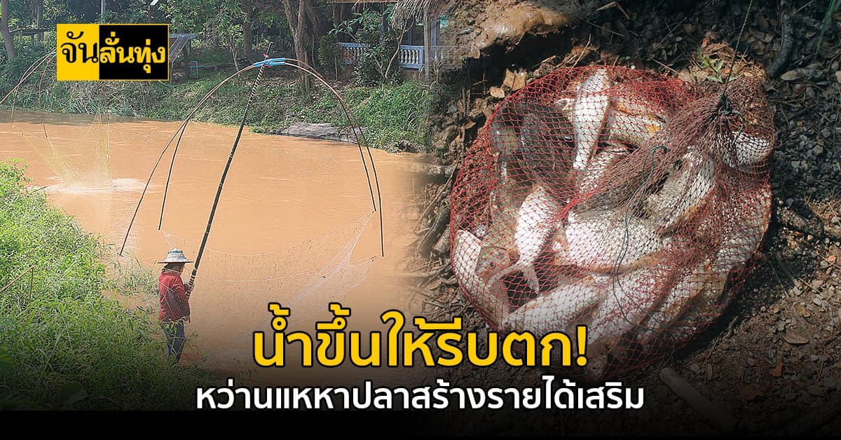 พะเยา ฝนตกหนัก-น้ำขึ้น ชาวบ้านแห่กัน ออกหาปลา สร้างรายได้นับ 1,000 บาท