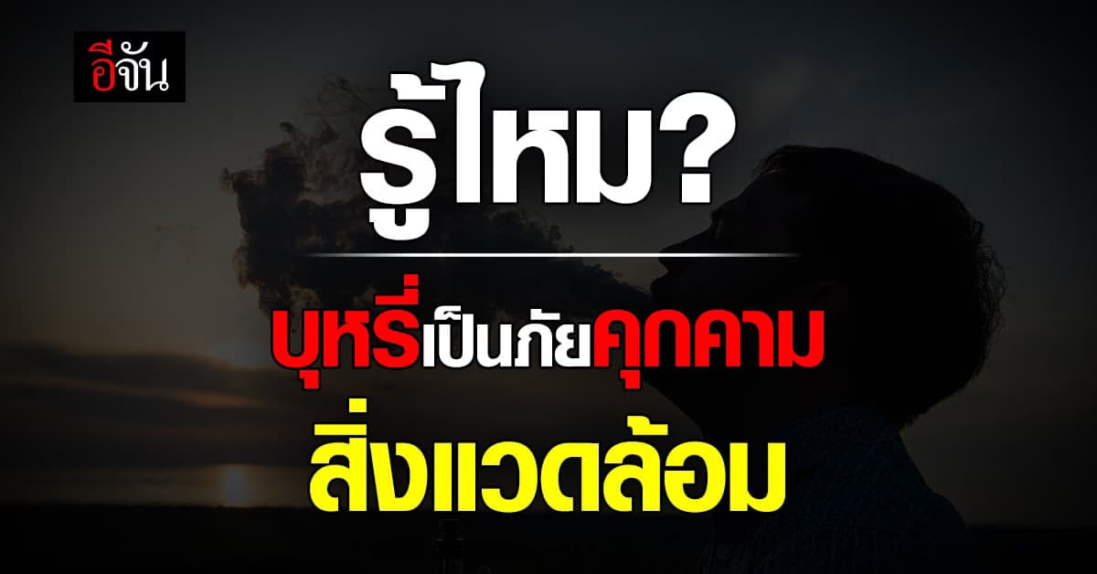 WHO ประกาศหัวข้อรณรงค์วันงดสูบบุหรี่โลก ยาสูบเป็นภัยคุกคามสิ่งแวดล้อม