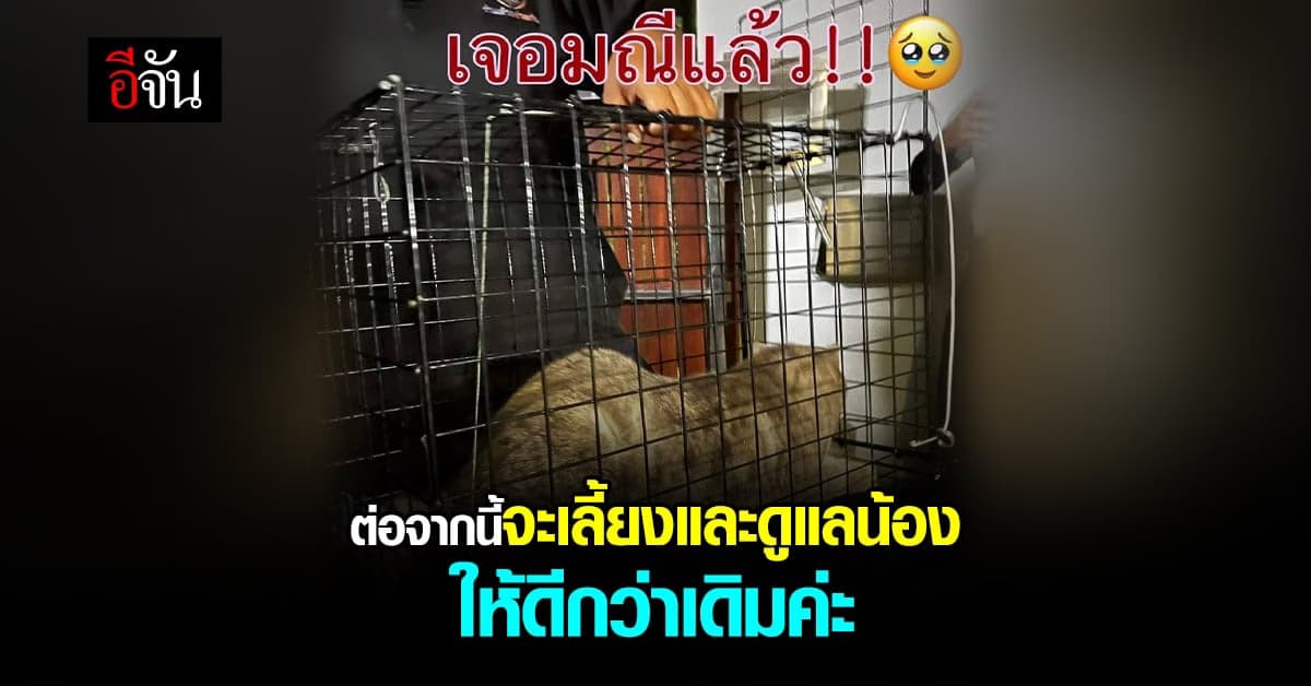 มณีกลับบ้านแล้ว หลังเจ้าของตามหาวุ่นให้เงินรางวัล 3 แสน