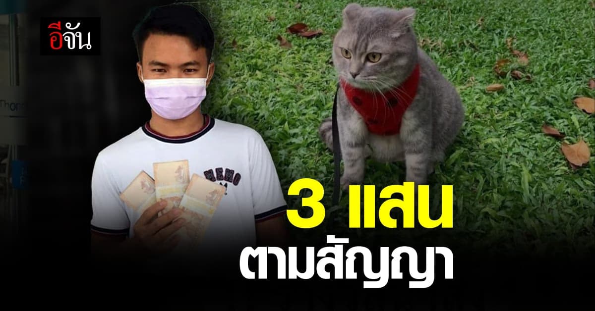 สาวโพสต์หาแมว มอบ 3แสน ให้รปภ.ตามสัญญา