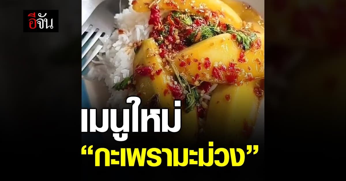 สุดว้าว! เมนูใหม่ ข้าวกะเพรามะม่วงสุก