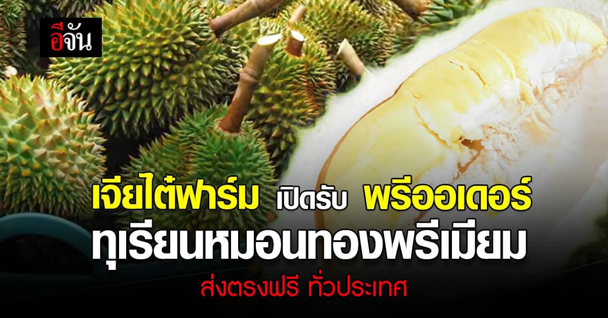 เจียไต๋ฟาร์ม พร้อมเปิดรับ พรีออเดอร์ ทุเรียนหมอนทอง พรีเมีย